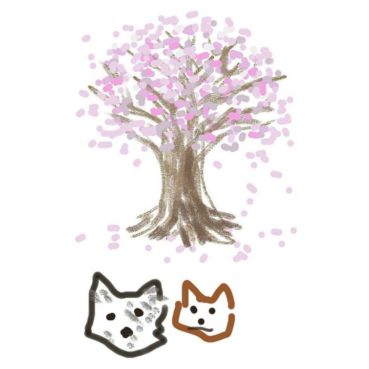 2884b3c2 1ac7 4528 a10f 8aff369e13b8 1521898674259