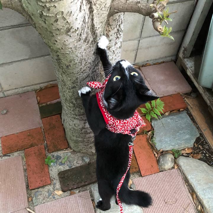 2884df36 5e7e 43d8 b4e8 87914974552f 1568087390708