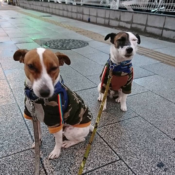 28850d01 583b 4f5f acce c85d10d86510 1575237753718