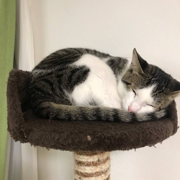 28851e80 7707 41e1 bdfc 1634a8e3ddf5 1541332842898