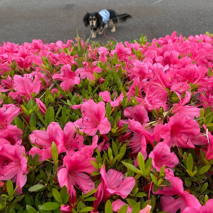 28853b6f ac89 4544 9211 283ca8af64d4 1716682437310