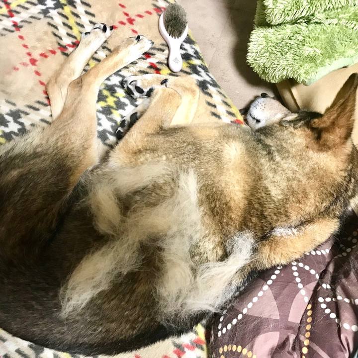 28855017 5ed5 4d54 9495 5e3667f95b83 1525222704888