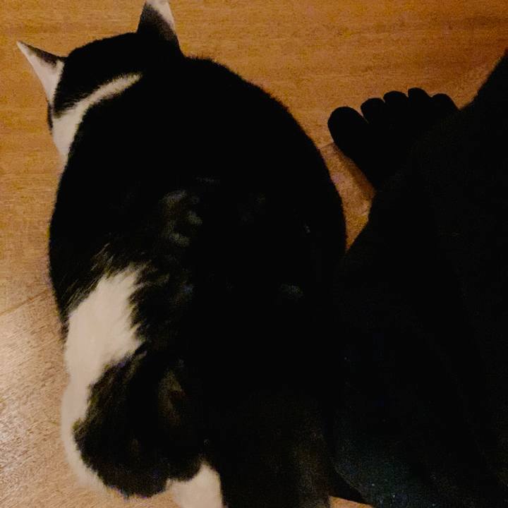 28857af1 4a6b 45e4 930e 8afc3ef5e459 1584929335149