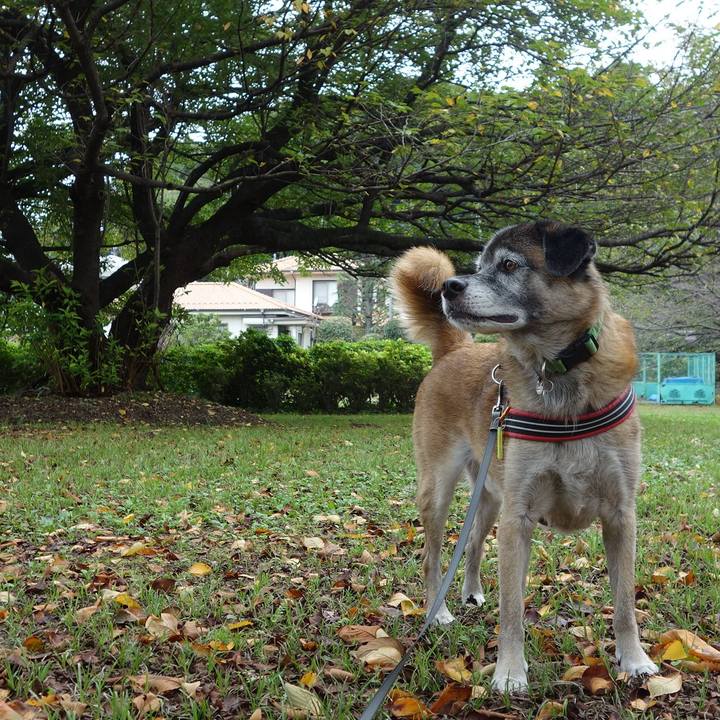 2885874a 1d41 42c7 8103 c1cf106aa8c9 1537407471550