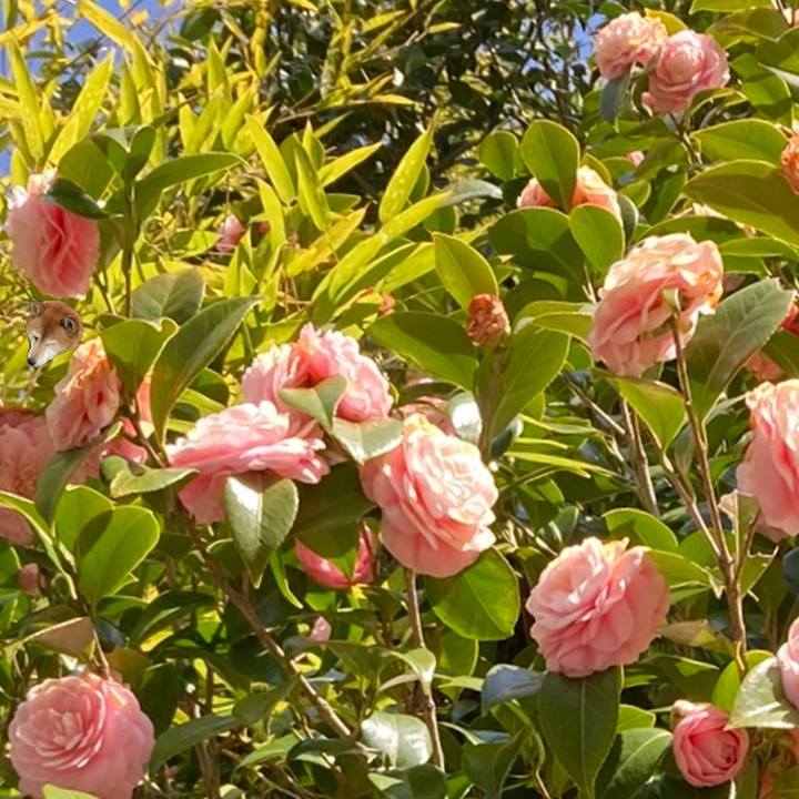 2885980d af6a 4302 b764 764203ade557 1648093135674