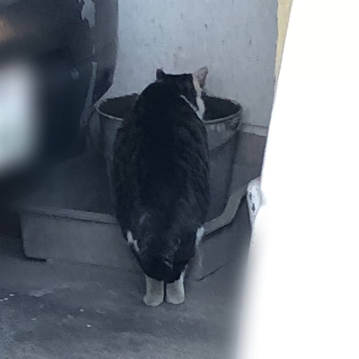 2886701d 835e 435b 952f 32b6113d6590 1514773495988