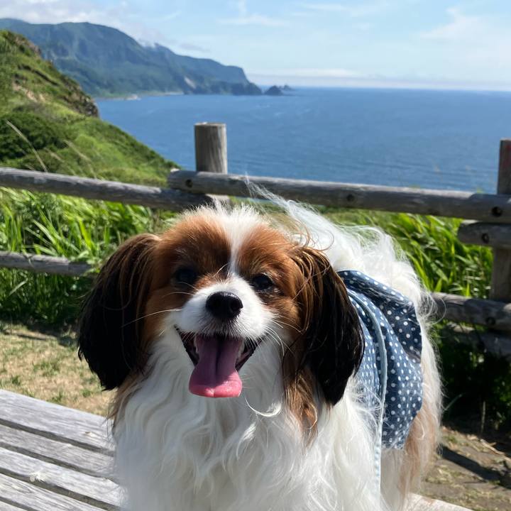 28867c97 27ec 46ba bab4 bf4b80b2e4a3 1751694469918