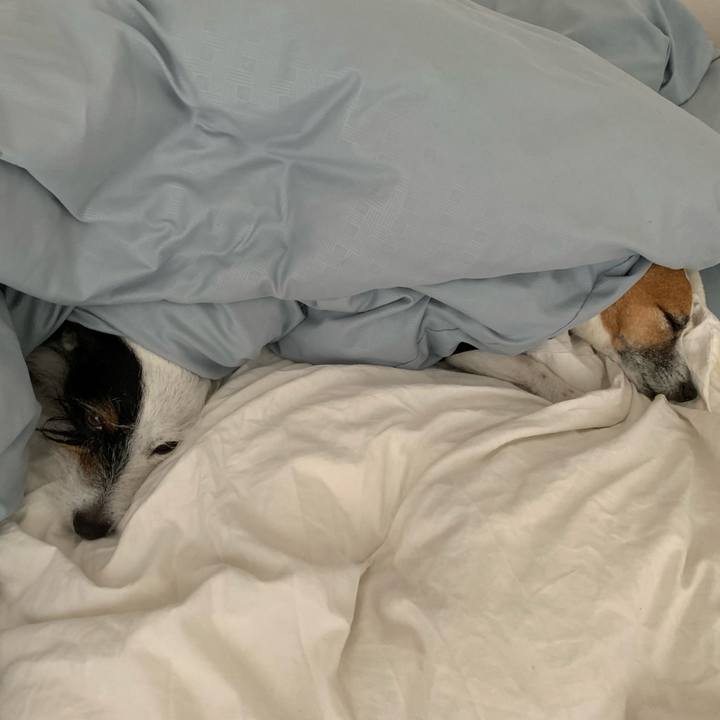 28868cda 59ba 4e00 b153 a6136c184a6f 1582672906459