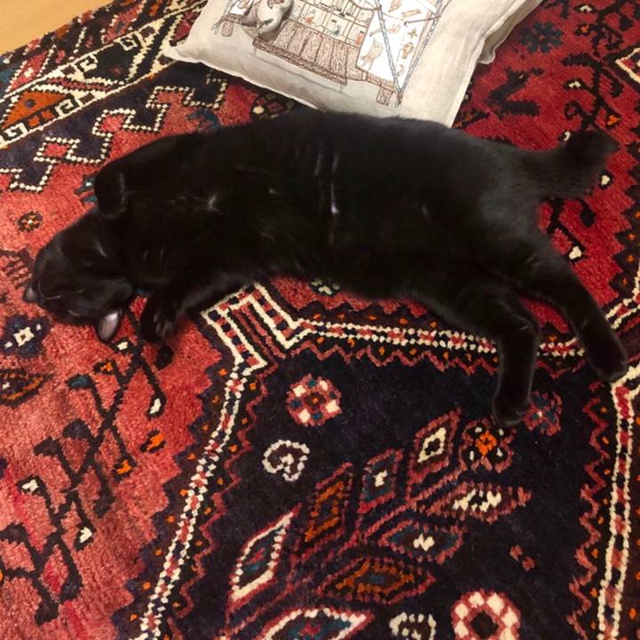 28869897 aada 4366 893e 38aedbfee833 1558615488686