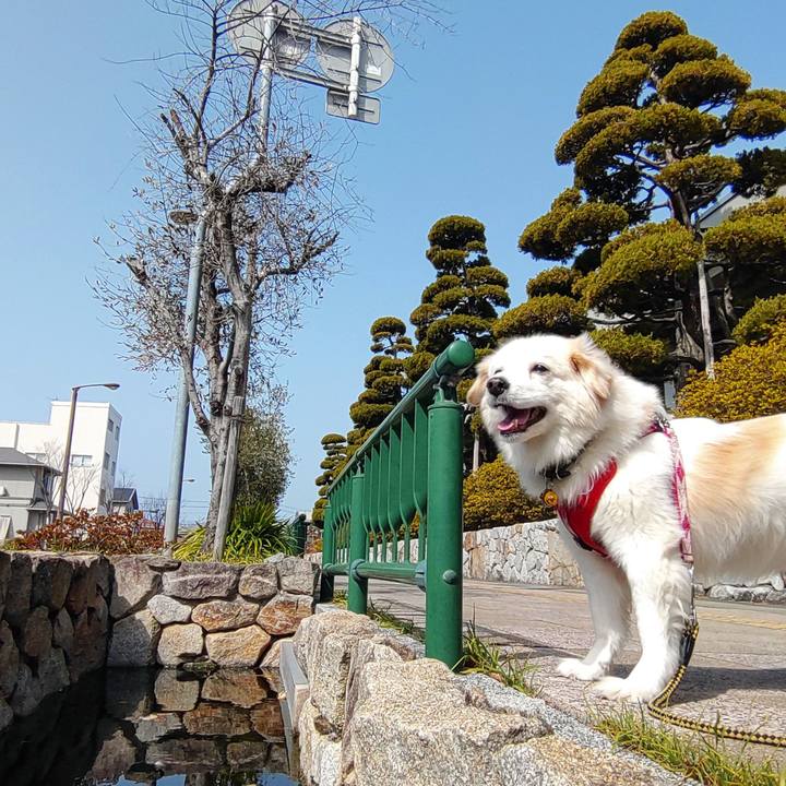 2886d3c4 581d 49e7 b946 e505a40727be 1646450448030