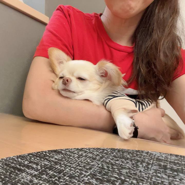 288702ff 3ea4 4821 9d38 d3c3e0ea6baa 1729000060786