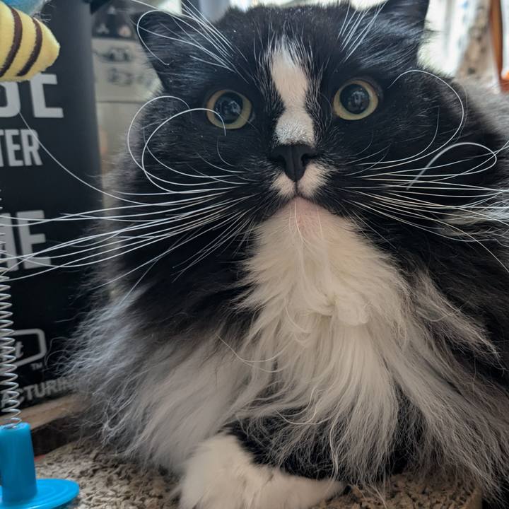 28871221 fd56 41ea bb75 f8b1ad2d7493 1737408150861