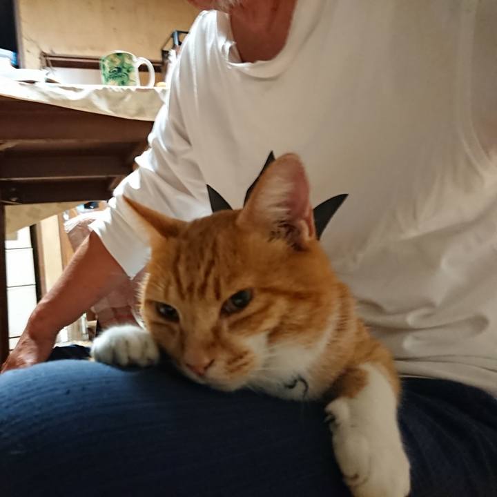 28875534 9d2a 4e21 b8b2 981e30c75e11 1600374134133