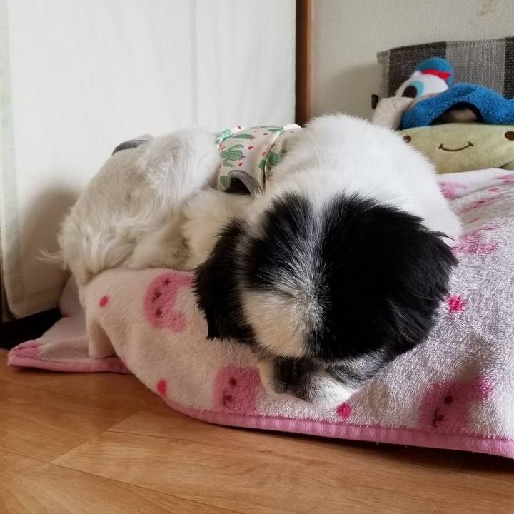 28877dbc 746f 4ce1 9897 805047f8f98b 1620549634575