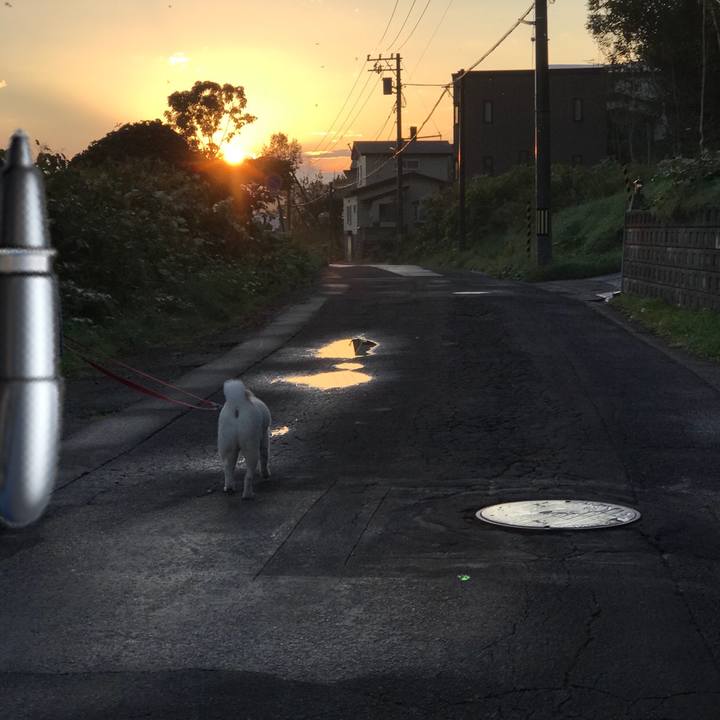 2887838a 3ee6 4214 84e8 957ca8fdce3f 1537132652057