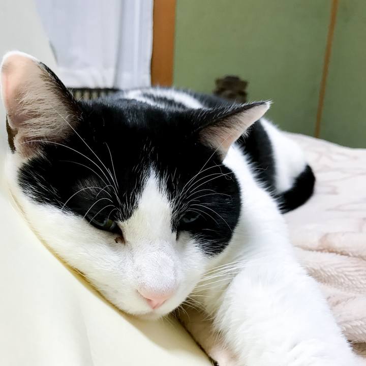 288791c4 fa04 487a 8f4a 32a9a7d044d3 1515842802317