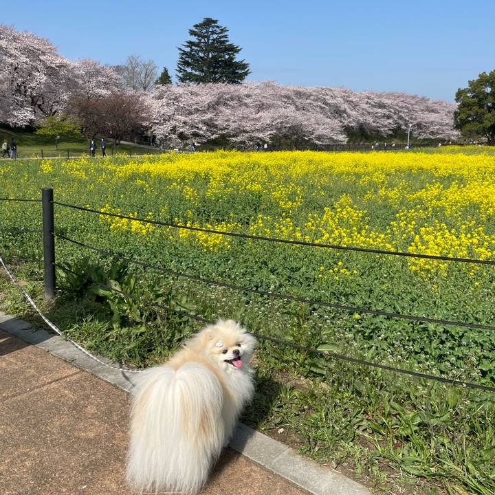 28879cb9 b78f 43af 986a 86f69d91cc17 1648605745181