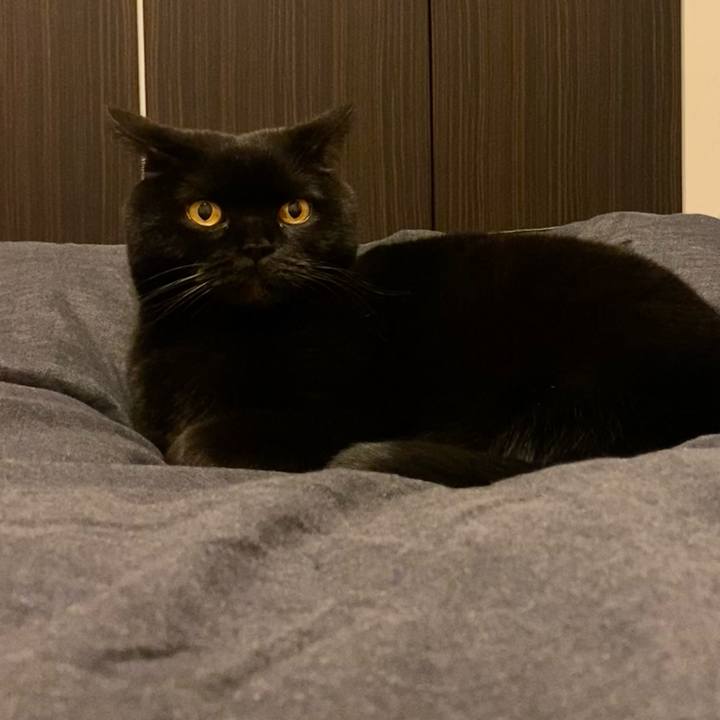 2887da5c 4c71 47bb be50 667df220838b 1770123843248