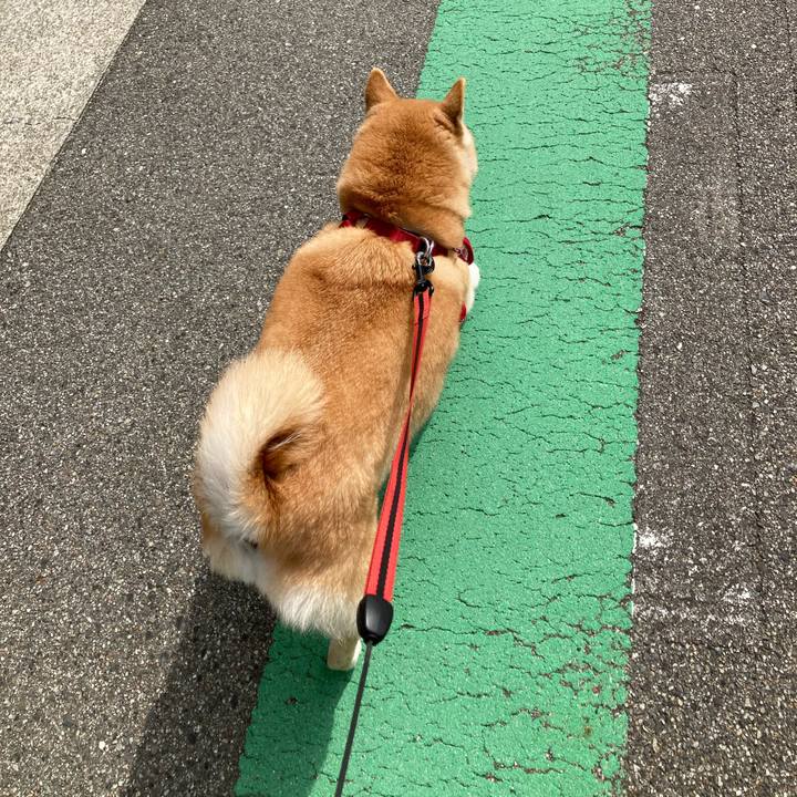 2888093b 21ad 45bb 9eb6 58484bbd30c9 1617108382495