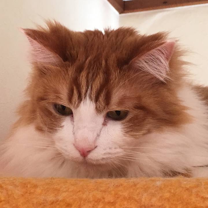 28881cec a41a 452a ae5f 673d09a7fe3b 1520663640315