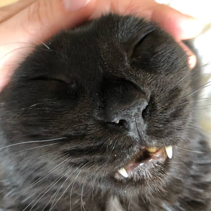 288833f0 c3ed 44fa 9446 3da215e120b0 1593320675959