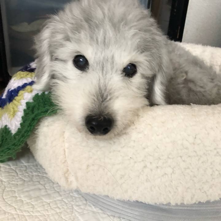 28885bce 1174 42a1 82ec f257ca131074 1592350596491