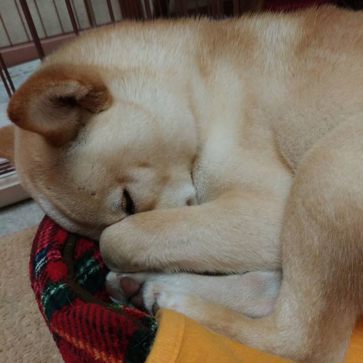 28887696 310f 4254 9871 45687dc33e37 1517923395257