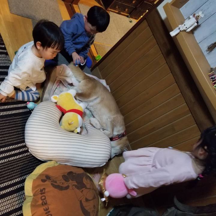 2888f125 6dcc 4177 b19a beded2947b7e 1739009228973