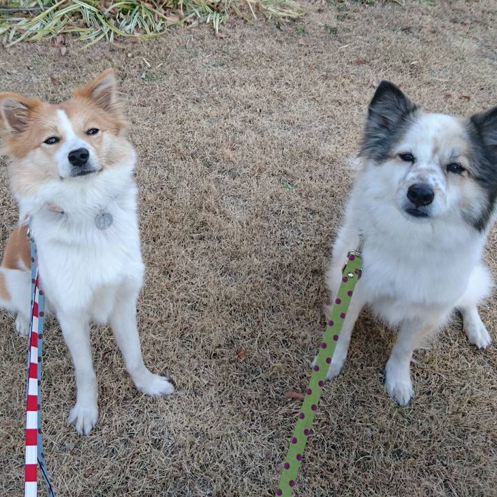 2888f6d9 24d1 452c abdd cf4955c60083 1520681971087