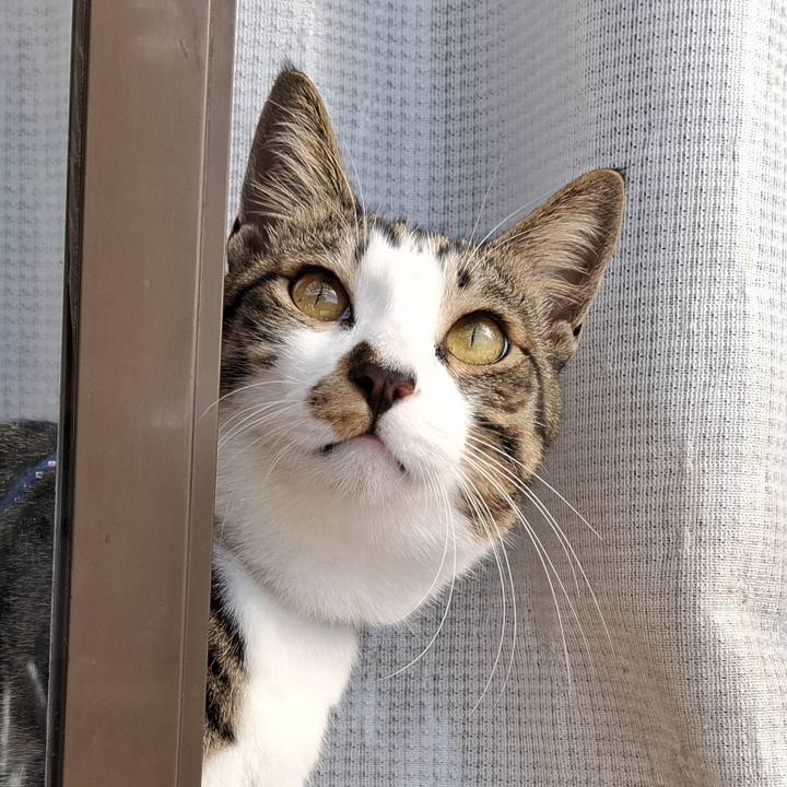 28890710 49e6 4753 a11d 344ddbc78ac4 1767281774053