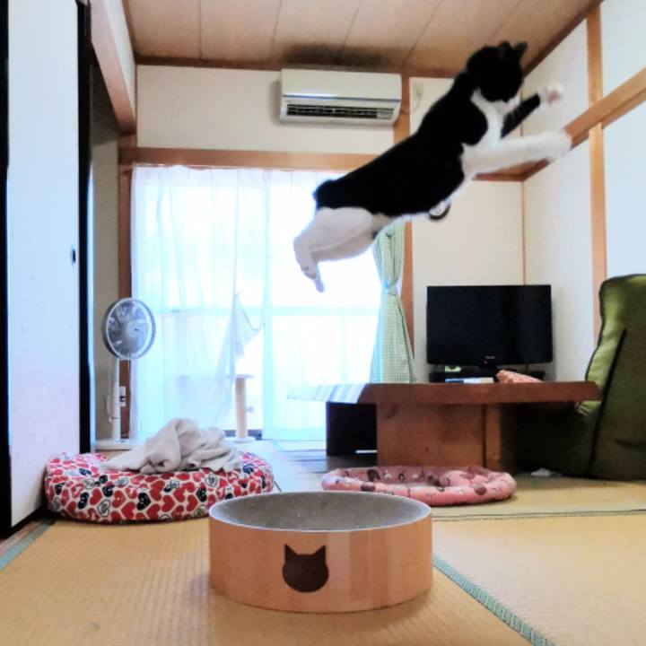 28894b44 ae87 42c8 9e76 caef84427f23 1598082799371