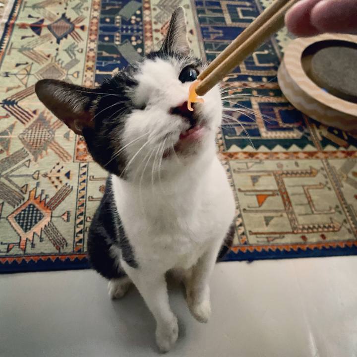 2889668e 8924 4792 8f76 cba84ee44f45 1604822854484