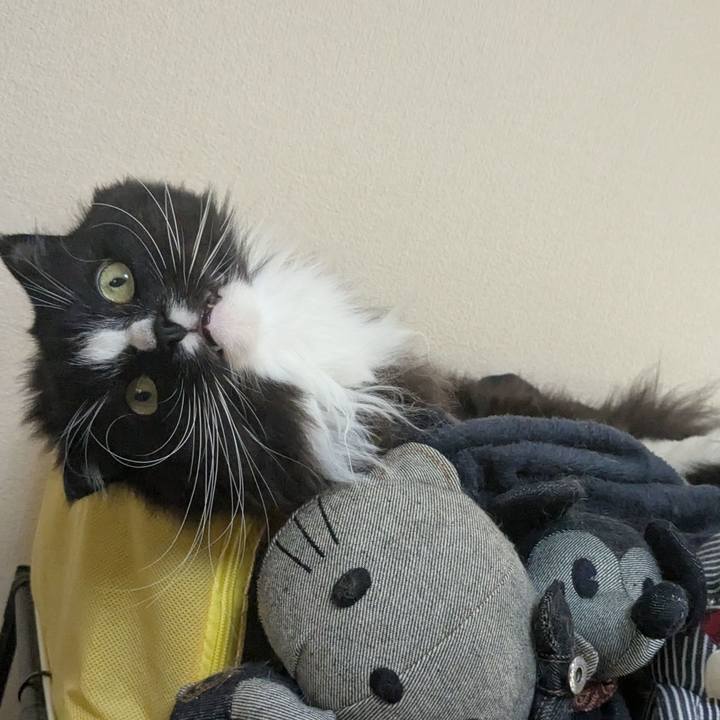 288992c2 1b65 4df2 af04 e2e9188a383a 1741587384833