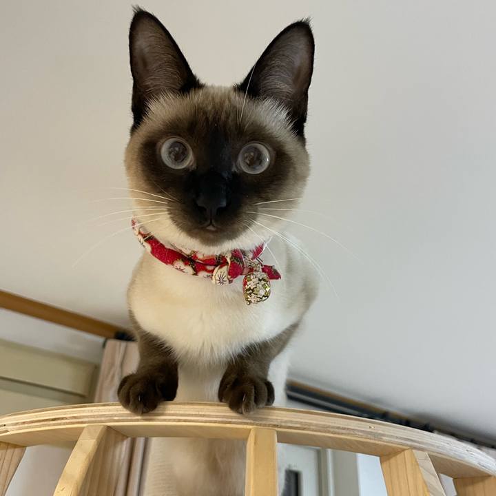 2889bc5f 4596 4bef 9447 9bc439dd3f49 1704658009818