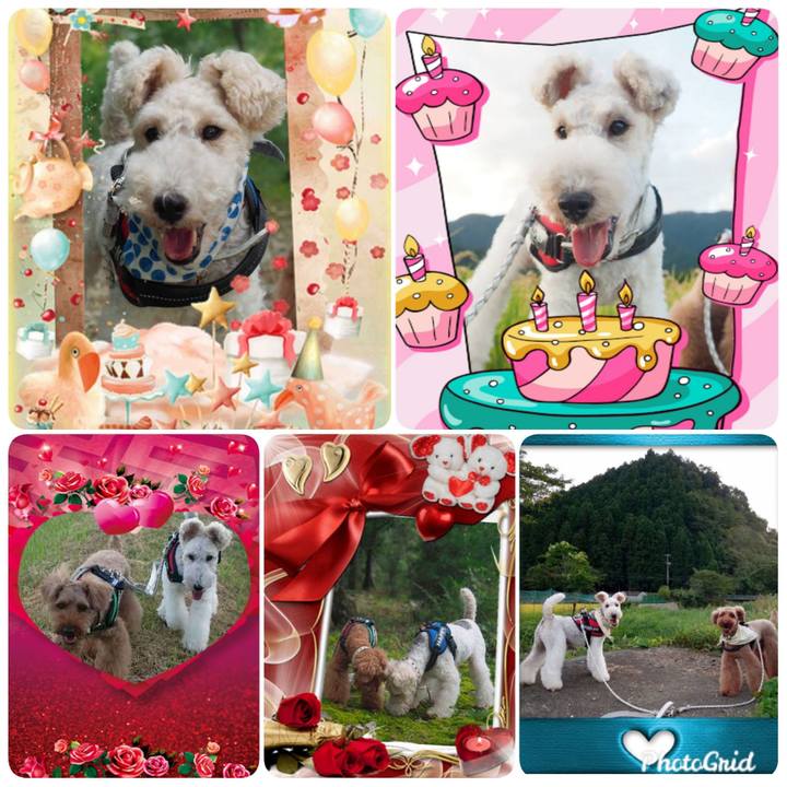 2889c56b 31ae 4550 a521 be73b63acfad 1568674552158