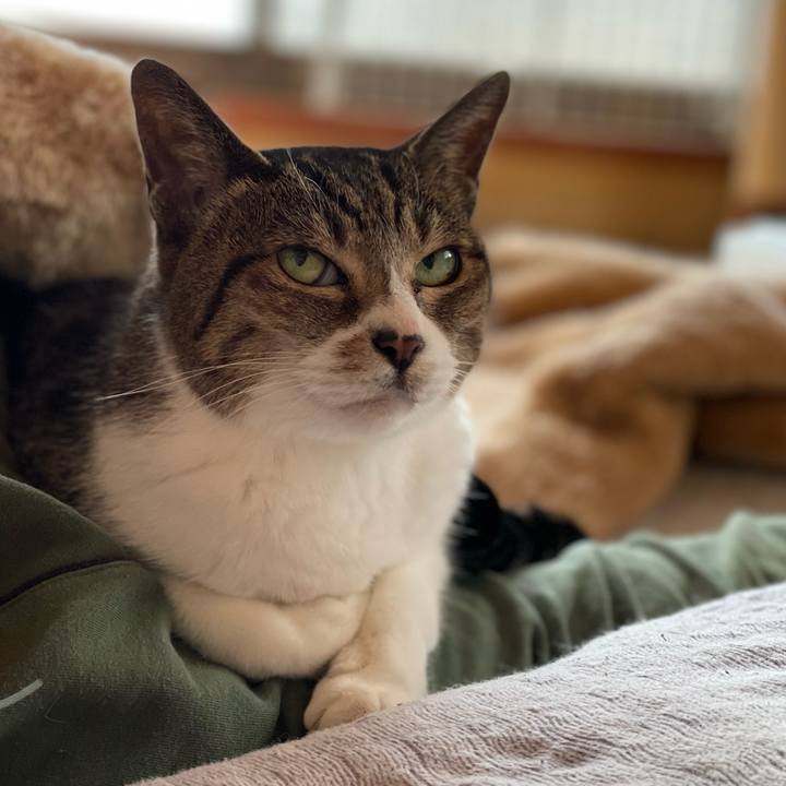 2889fd9c 002c 42c4 8198 55b40cc09d93 1651802119005