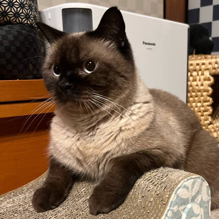 288a7d90 4bcb 4685 af35 7ab57899d7c1 1693567443516