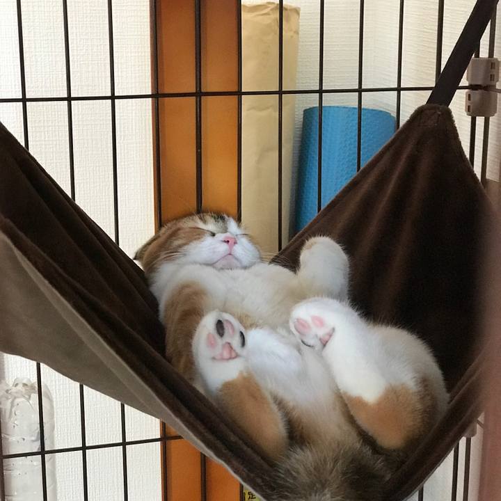 288ac3cf 8d6b 4c01 ad87 a94923d6d48f 1509608042971