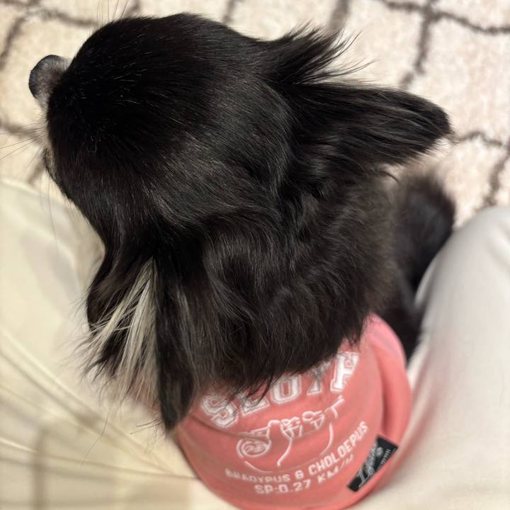 288b2b9f ef8f 4877 8d53 0193488d5cef 1734883197613