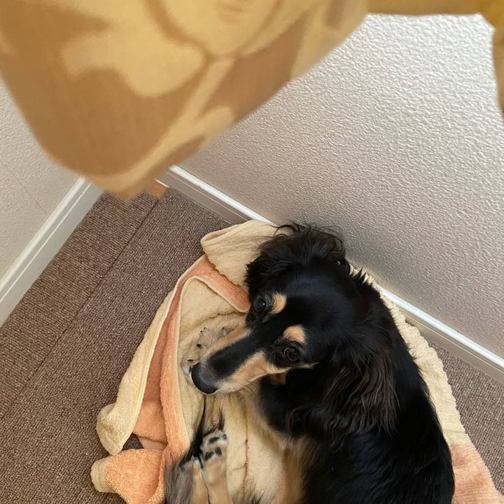 288b4b47 d0db 4187 acbb 6826fc9e00aa 1693966823245