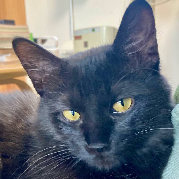 288b6585 4b74 477d 9046 49eb6d2b0442 1705625290553