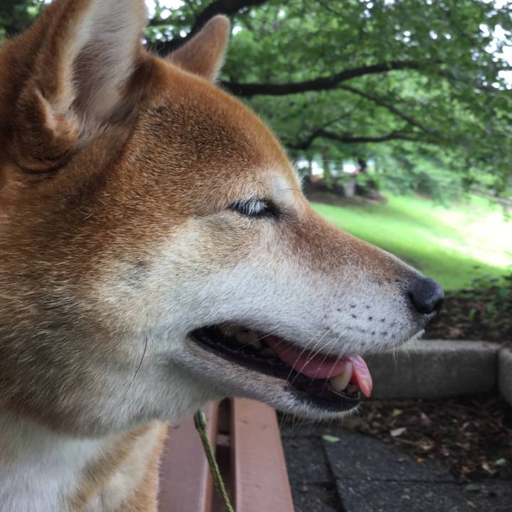 288b7ab4 f2f1 4b08 8cb2 d30231ea4e85 1593151854940