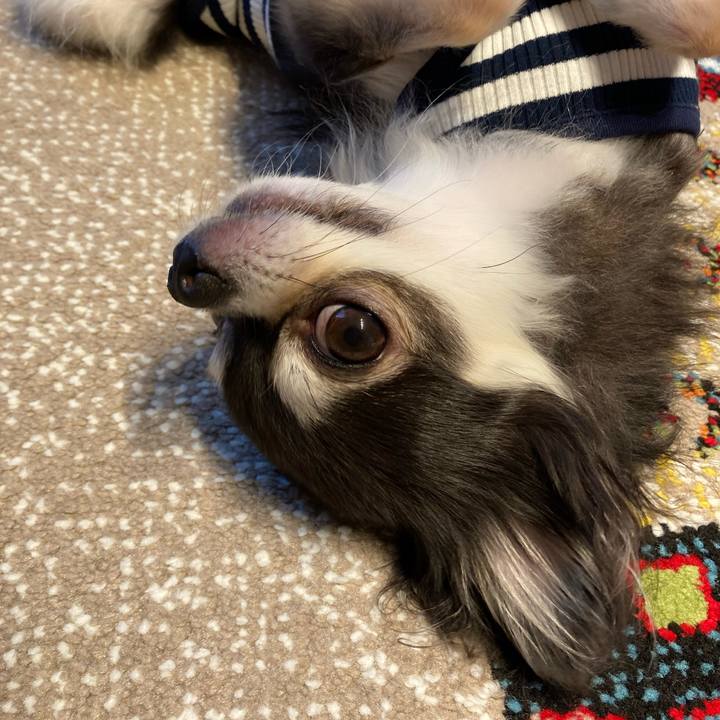 288b88c1 ac02 4743 935b 69249c932a3c 1714321459021