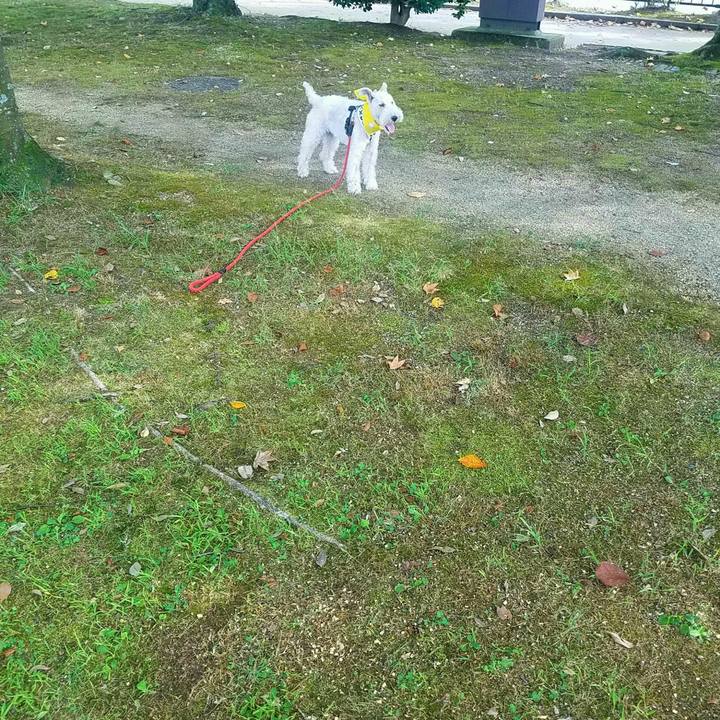 288babf1 5b72 4ea3 a4e9 cebb706866f0 1600390842253