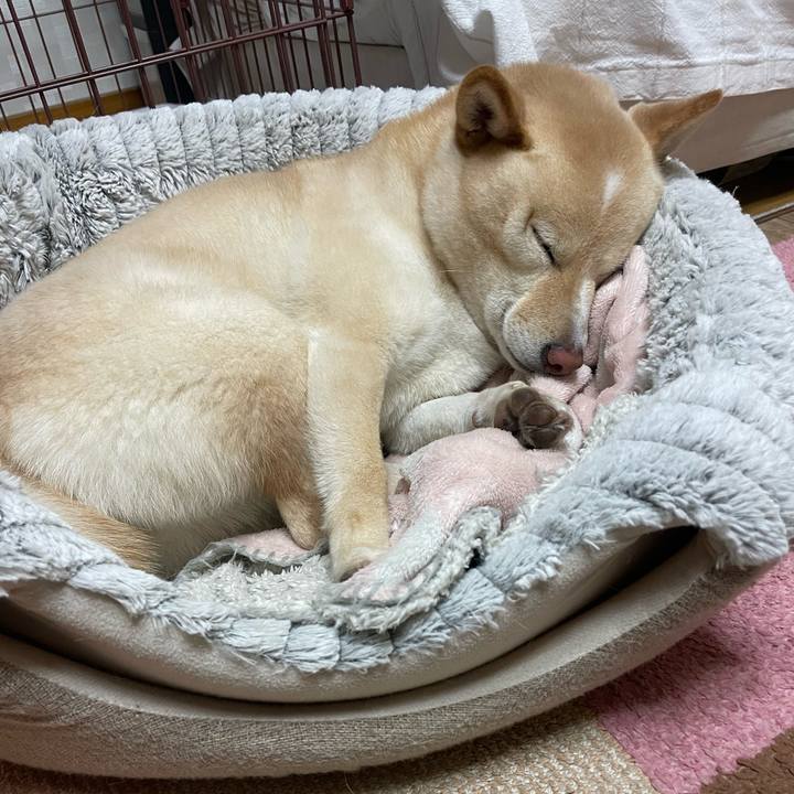 288c24bc 1f21 42ac b0d9 566feda2cd5d 1676638898825