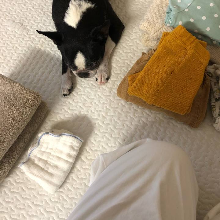 288c648d c78d 44a8 8e67 b4425aa14455 1721177667151