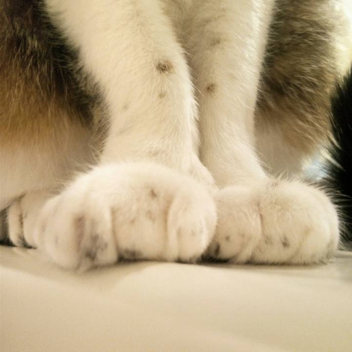 288c6b7e df9d 4fb6 a8b9 5eb051fe8025 1766916866652