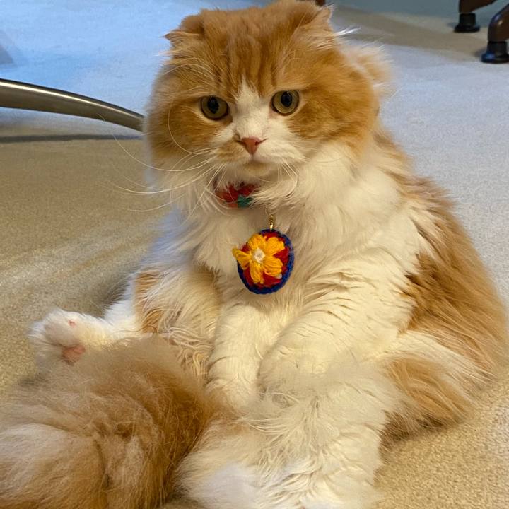 288c6b88 f9af 45b7 9201 f8200e646011 1660715864594