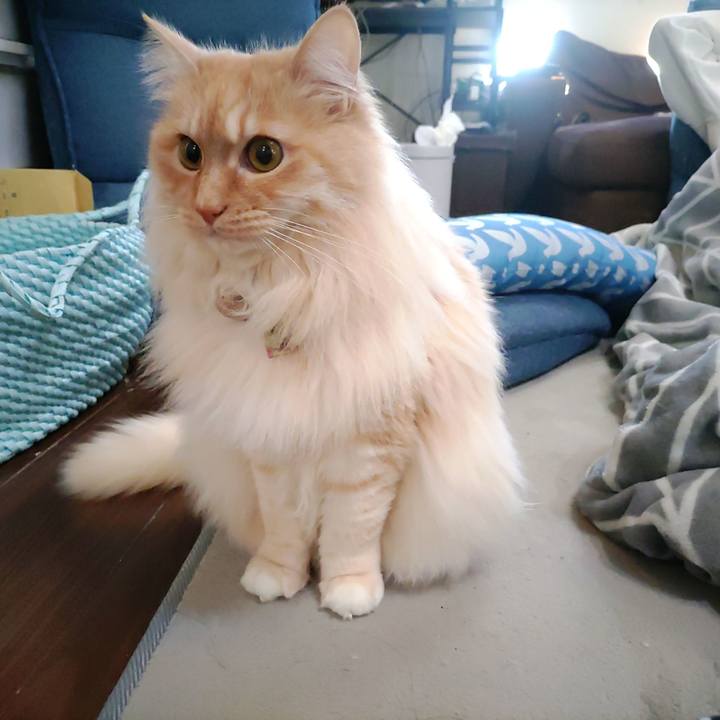 288c86e0 63d6 4849 8ded 127d1ba2edf7 1710973805680