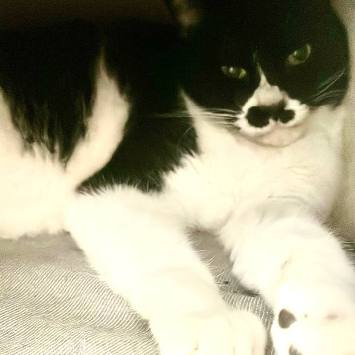 288cb3fa 31bd 42ae 97e3 50eea491349b 1707867575811